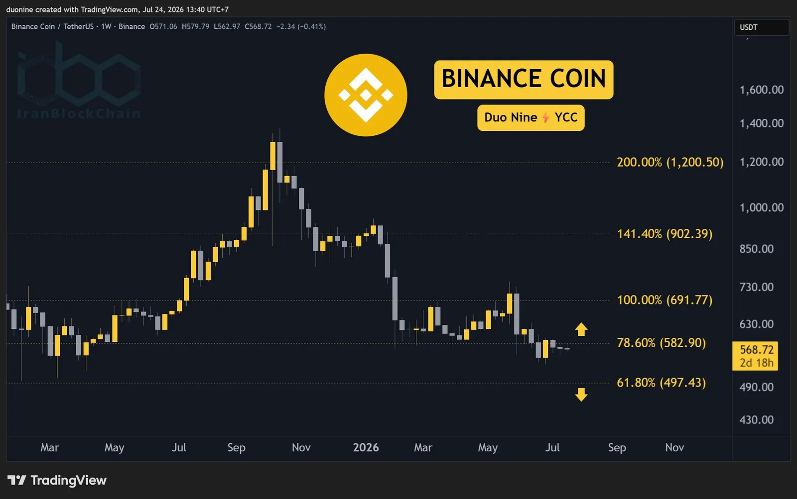 binance_coin_price_chart_2407261
